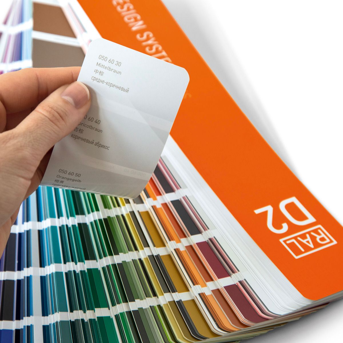 RAL скала D2 plus